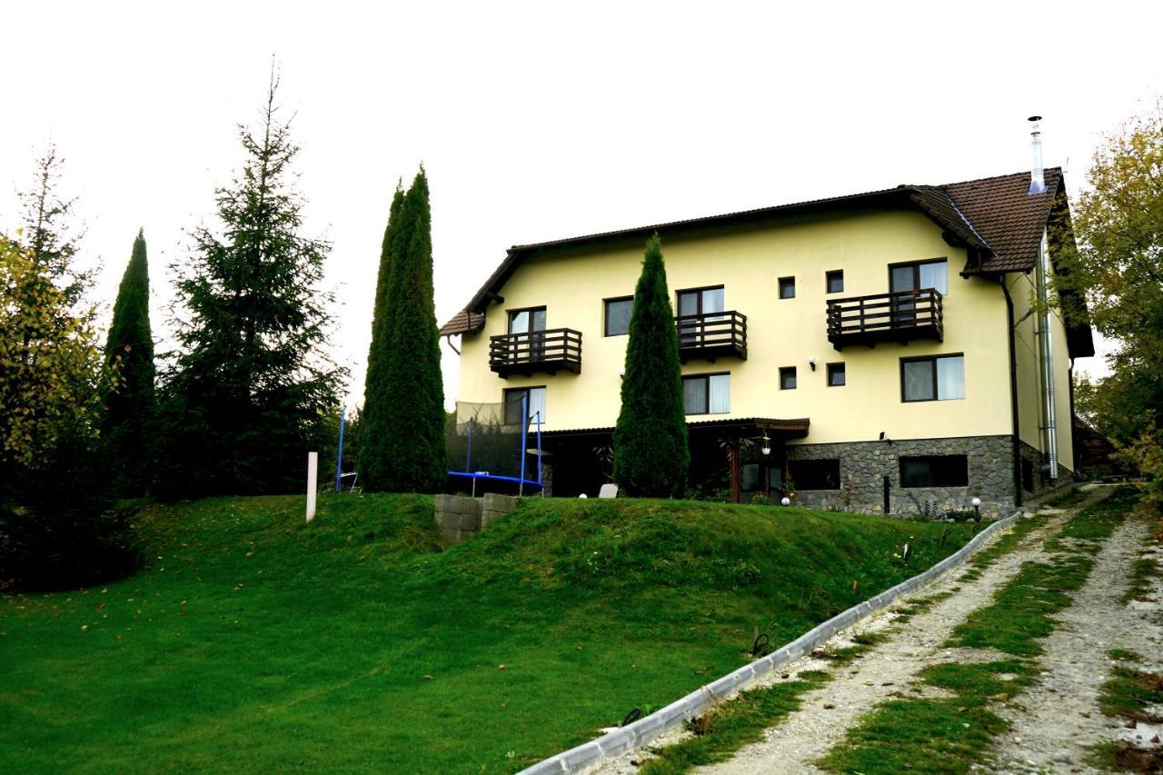 Vila Sohodol Travel Bran  Exteriér fotografie