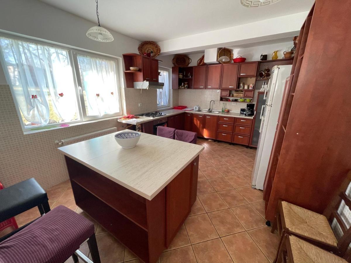 Vila Sohodol Travel Bran  Exteriér fotografie