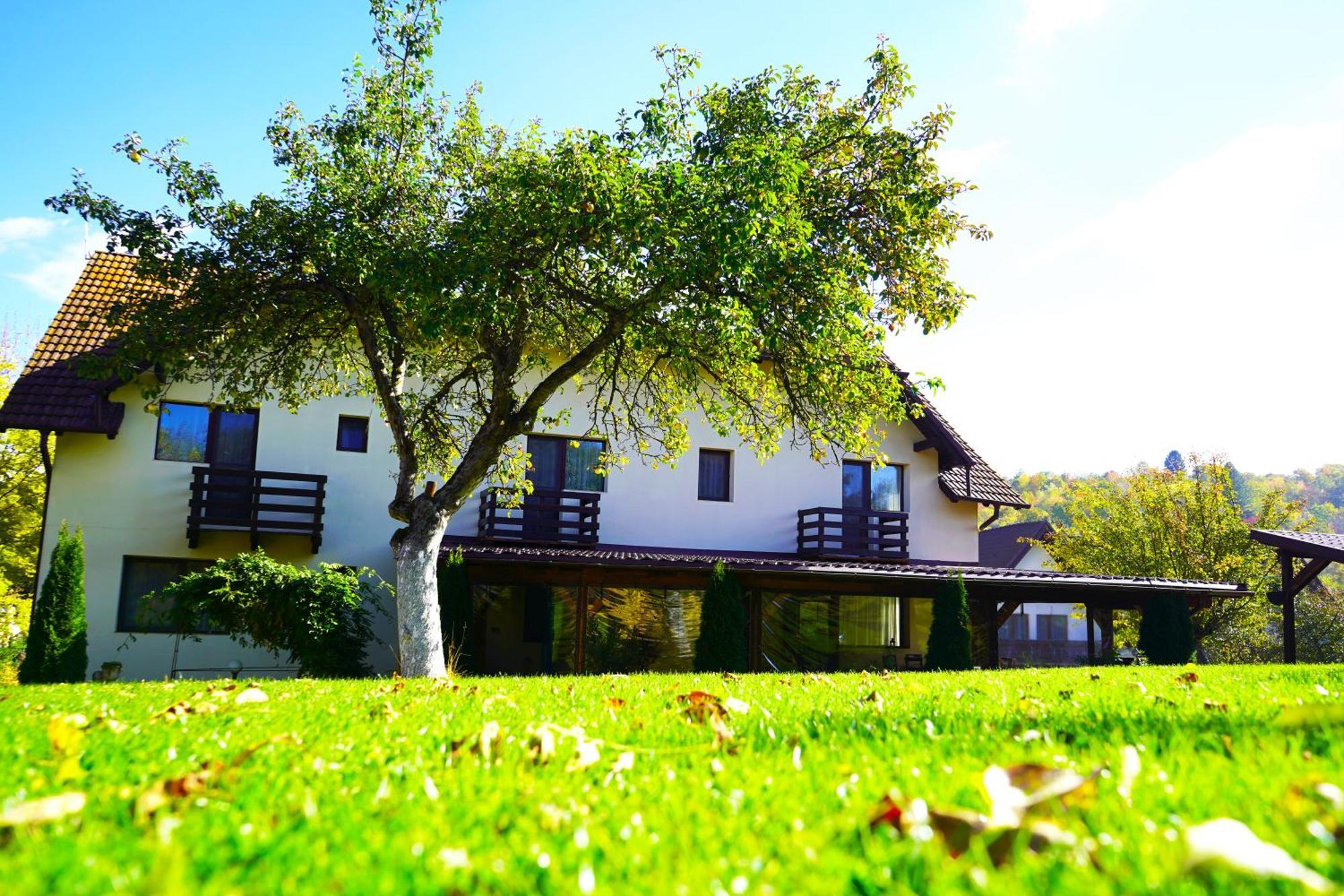 Vila Sohodol Travel Bran  Exteriér fotografie